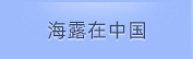 J9集团国际站在中国