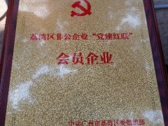 J9集团国际站实业党支部入选首批荔湾区“党建红联”会员企业