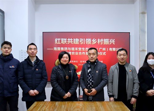 红联共建引领村落振兴，党建促业务深度融合
