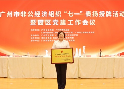 标杆引领，荣誉升级！集团党支部荣膺广州市非公有造经济组织“双强六好”标