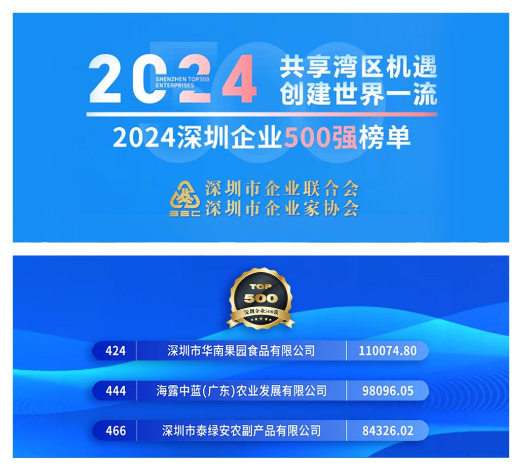 1-241220141S4940 首页| J9集团国际站官方网站
