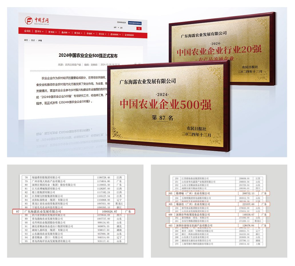 1-2412240943523B 首页| J9集团国际站官方网站