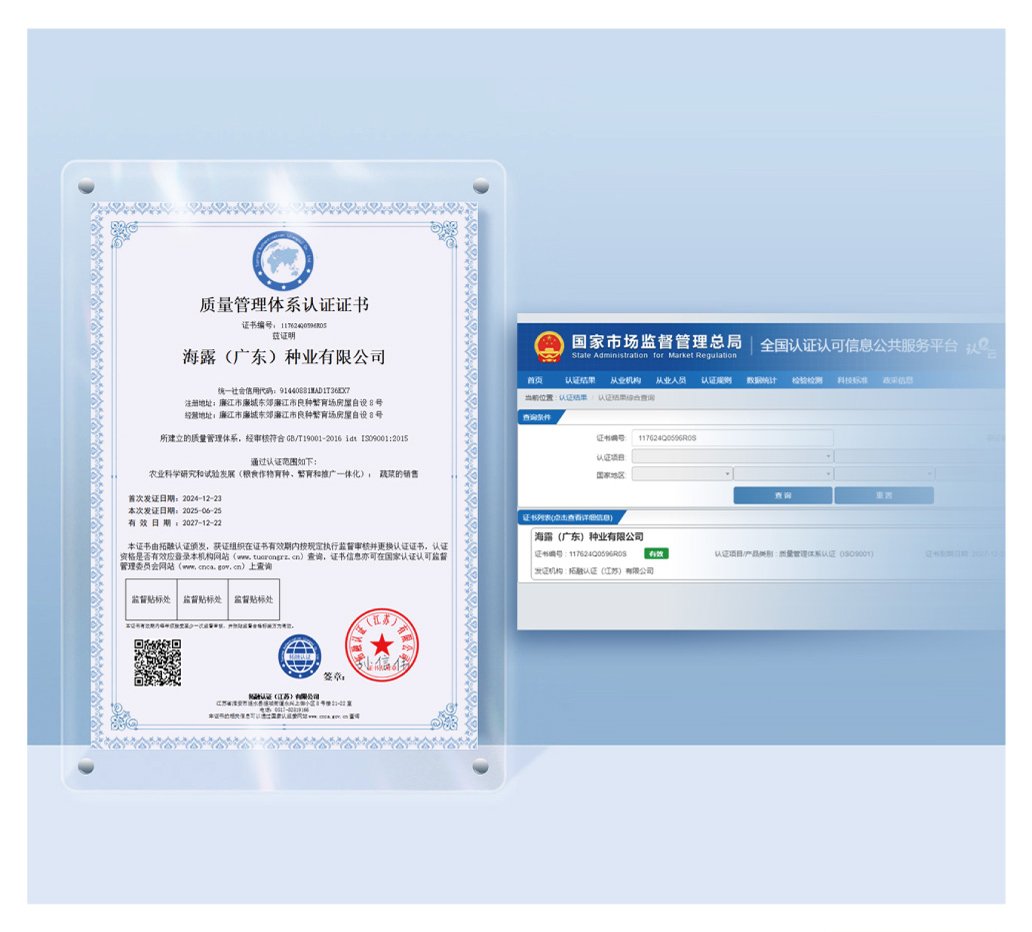 1-250G0144920947 首页| J9集团国际站官方网站